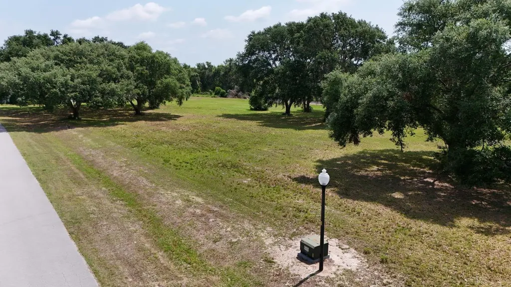 Royal Palm Drive Groveland FL 34736