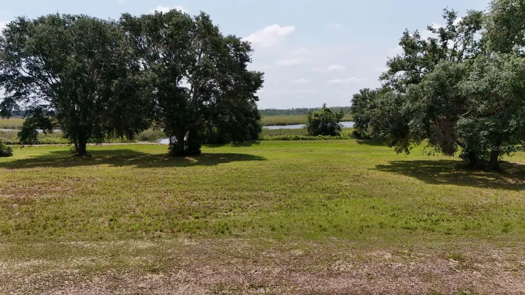 Royal Palm Drive Groveland FL 34736