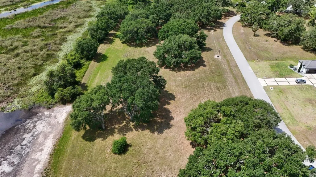 Royal Palm Drive Groveland FL 34736