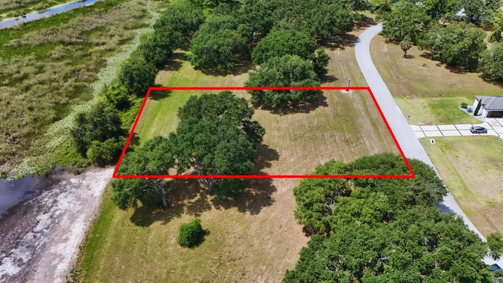 Royal Palm Drive Groveland FL 34736
