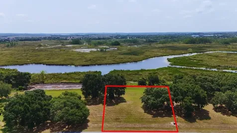 Royal Palm Drive Groveland FL 34736