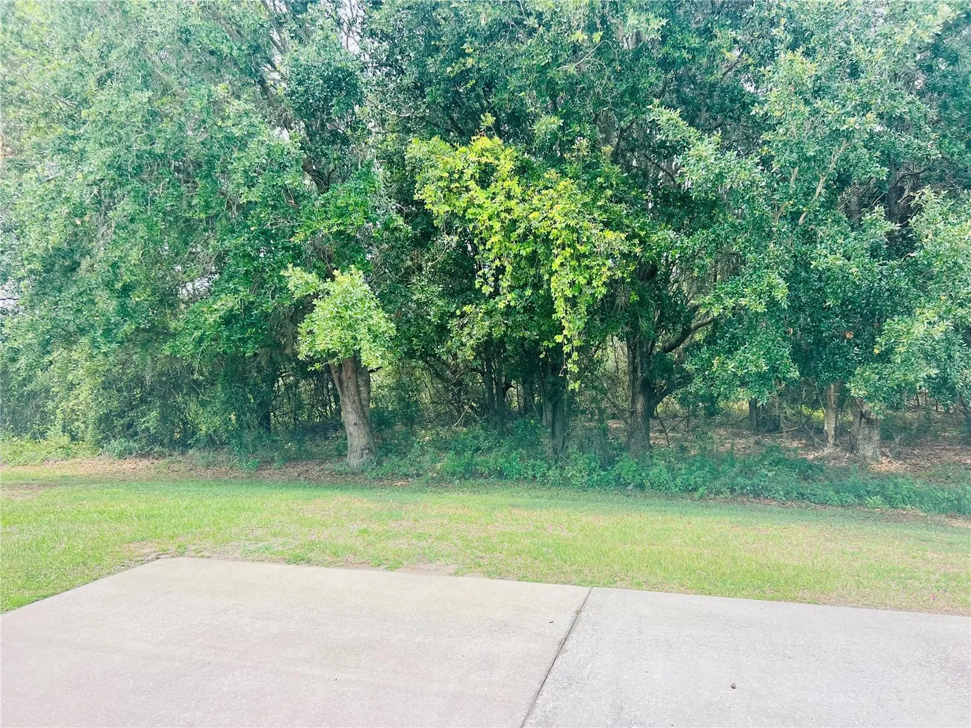 9413 SE 49th Terrace Webster FL 33597