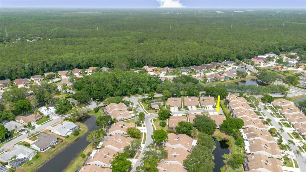 4032 Salem Square Court Palm Harbor FL 34685