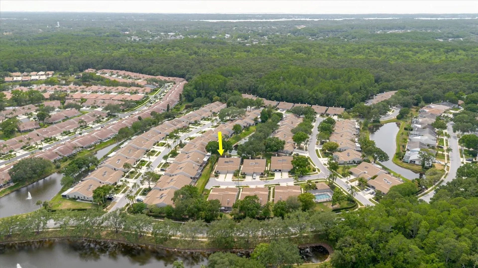 4032 Salem Square Court Palm Harbor FL 34685