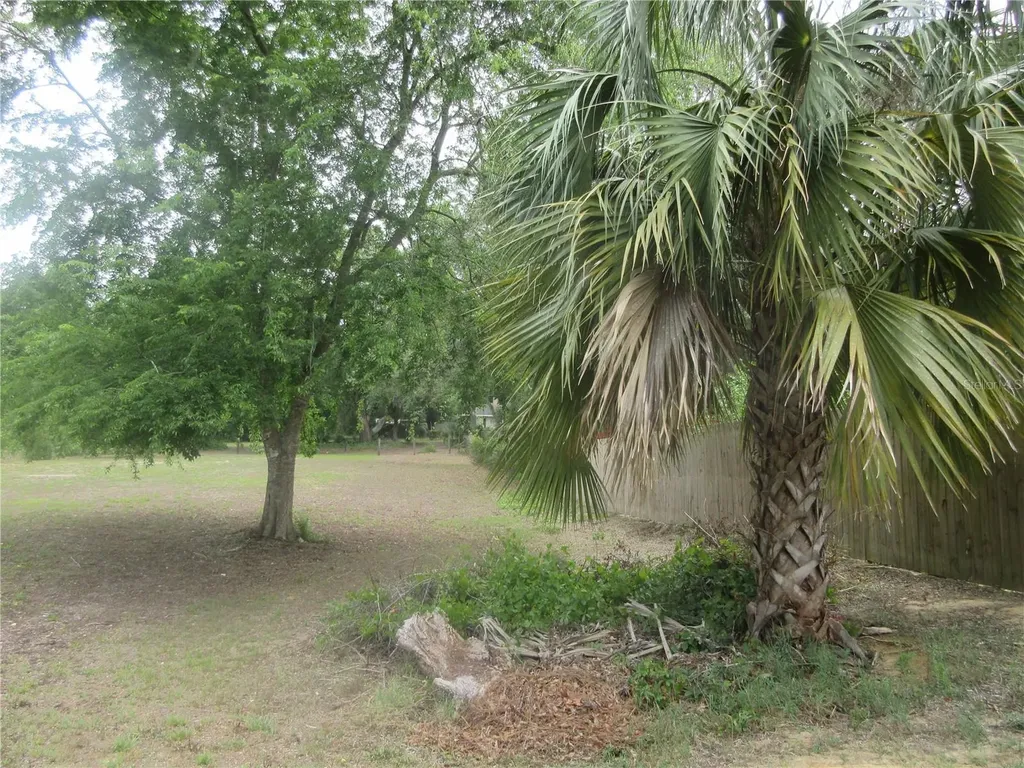 5949 SE 164th Court Ocklawaha FL 32179