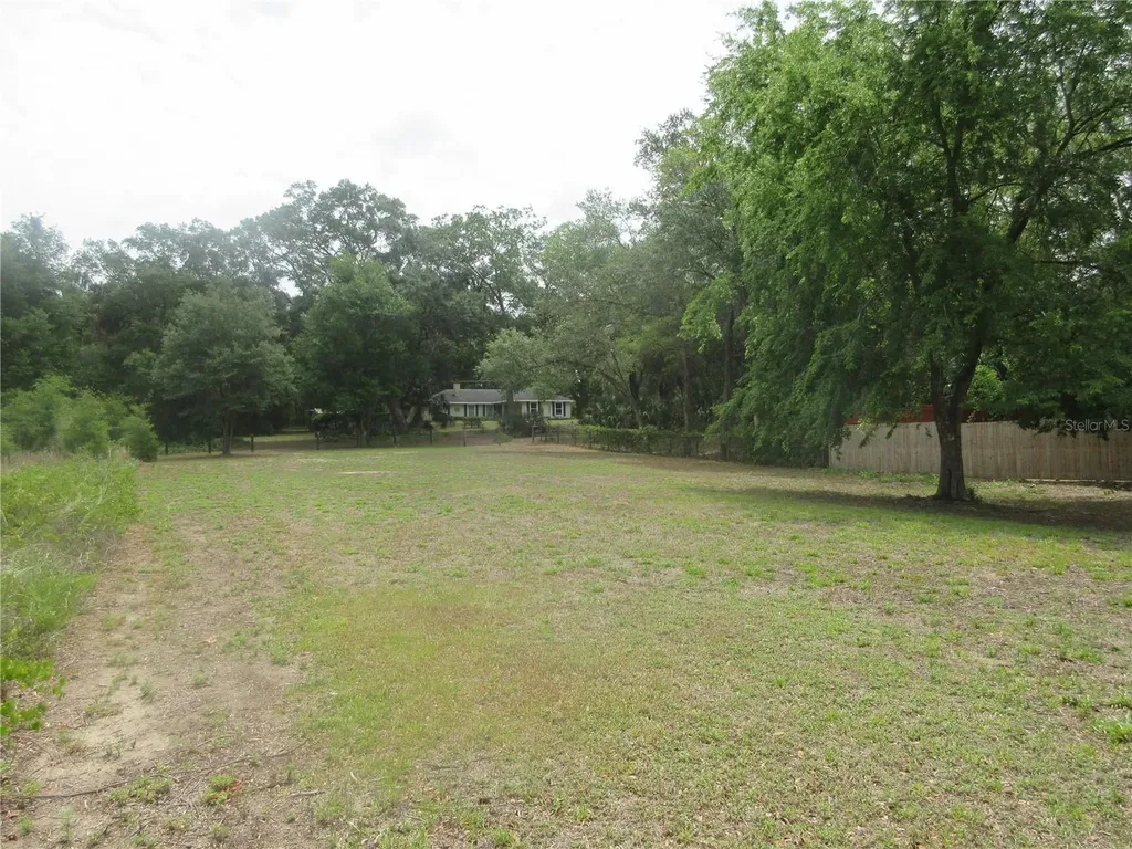 5949 SE 164th Court Ocklawaha FL 32179