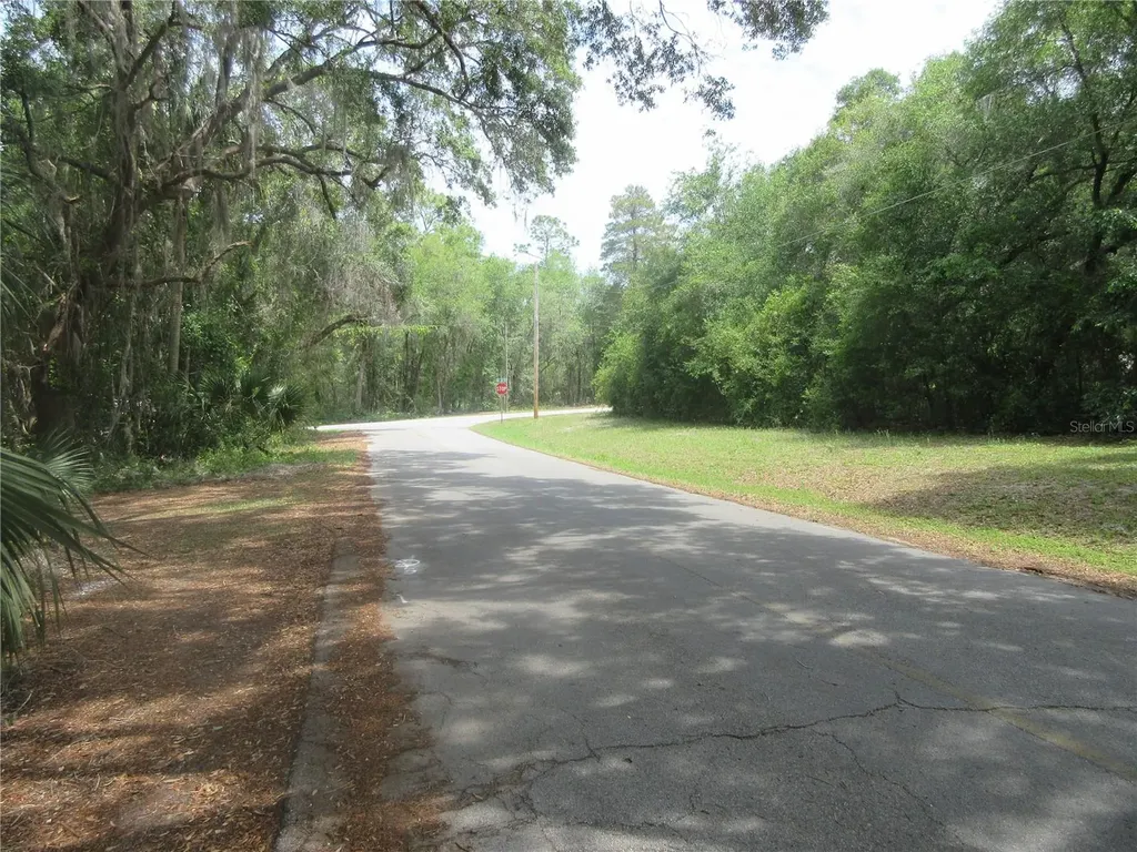 5949 SE 164th Court Ocklawaha FL 32179