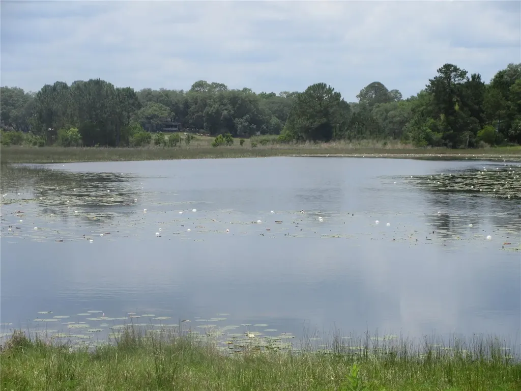 5949 SE 164th Court Ocklawaha FL 32179