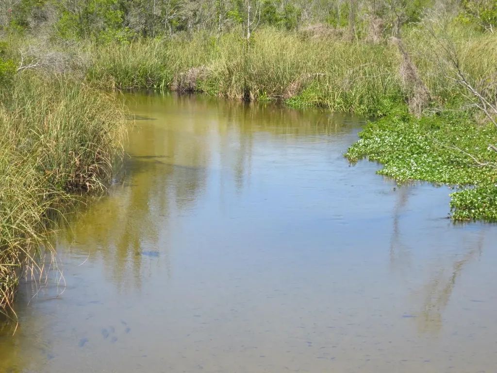5949 SE 164th Court Ocklawaha FL 32179
