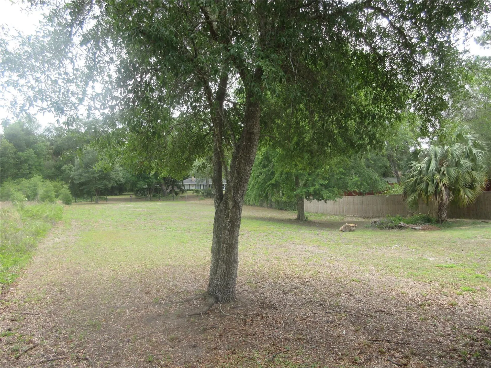 5949 SE 164th Court Ocklawaha FL 32179