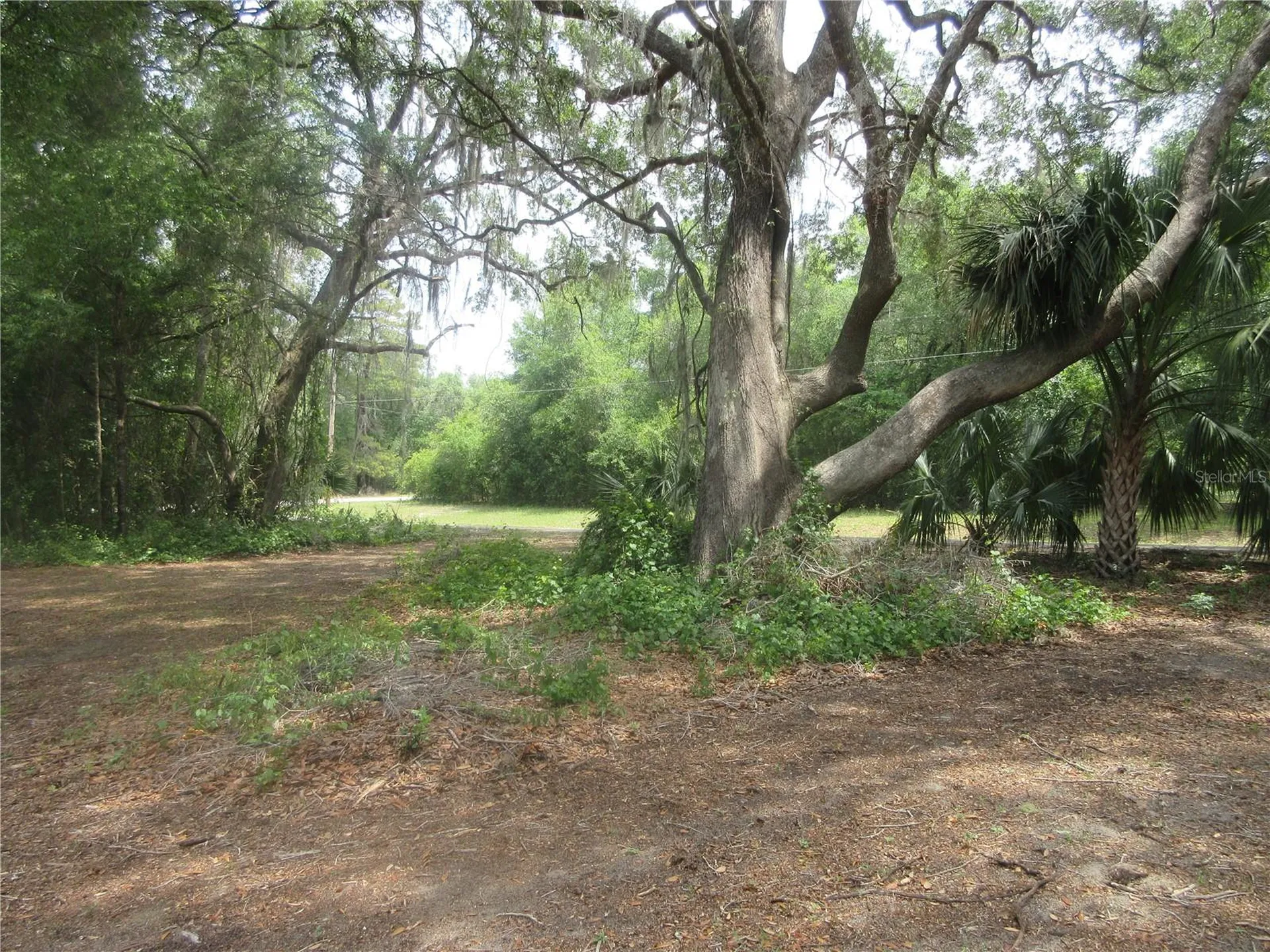5949 SE 164th Court Ocklawaha FL 32179