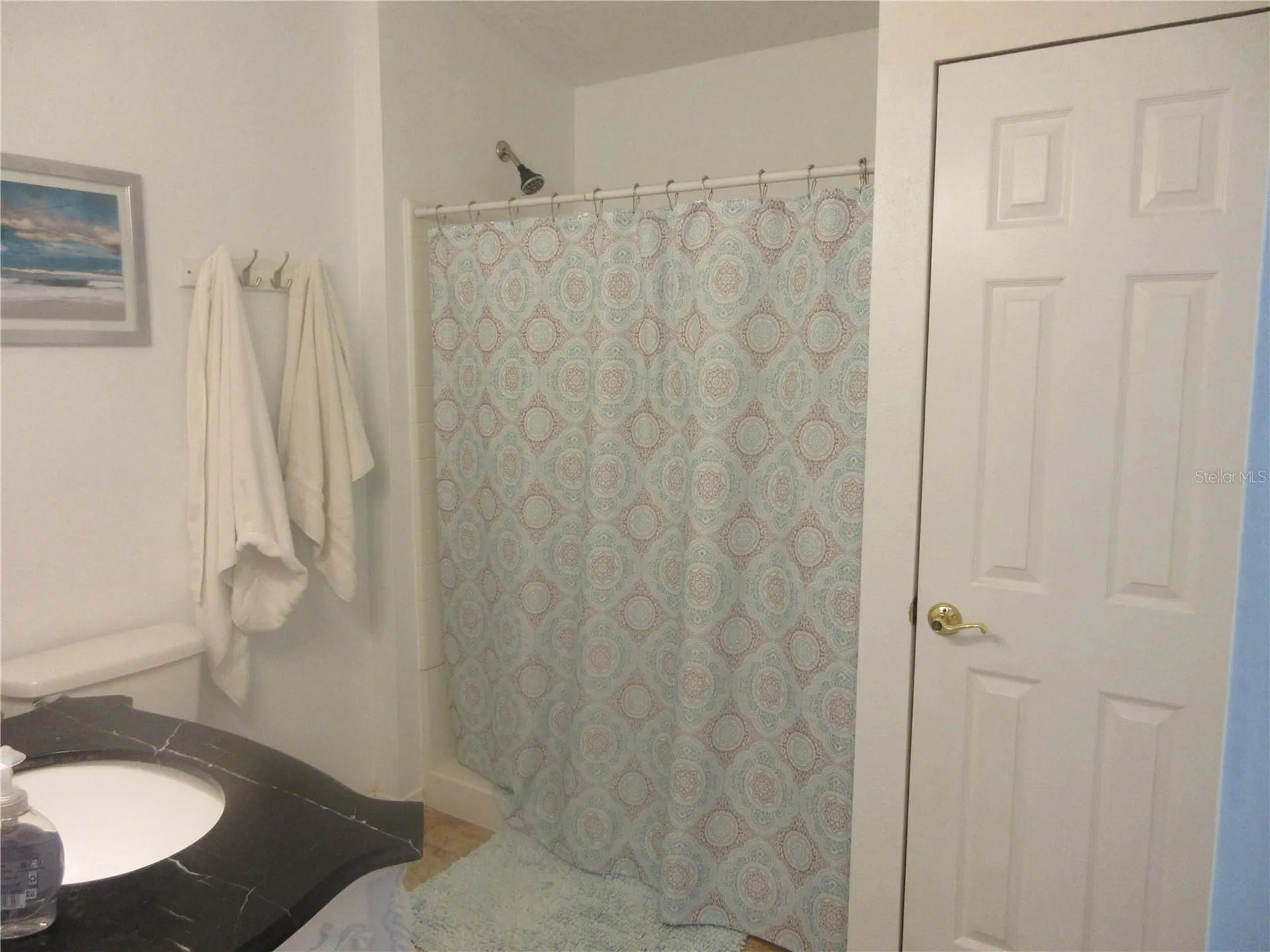 5949 SE 164th Court Ocklawaha FL 32179
