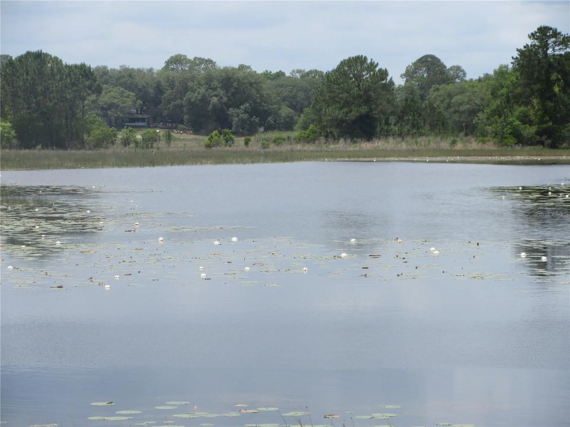 5949 SE 164th Court Ocklawaha FL 32179