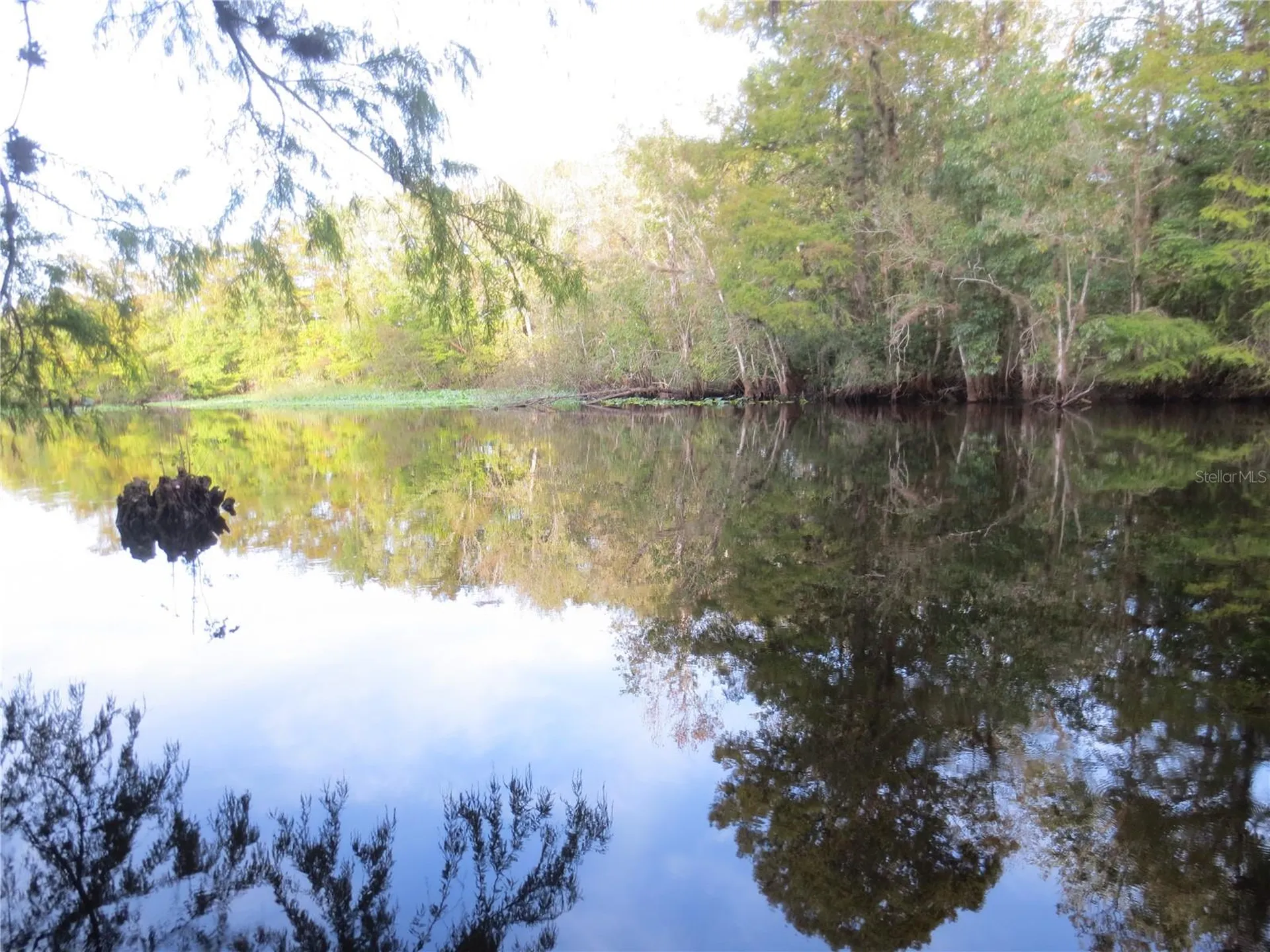 5949 SE 164th Court Ocklawaha FL 32179