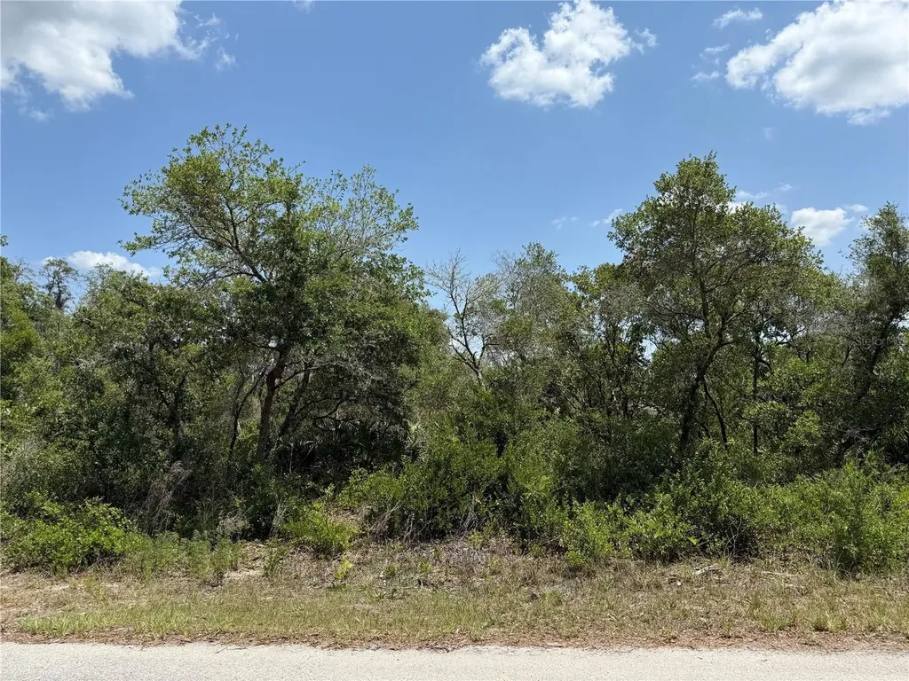 Tbd Fisher Loop Ocklawaha FL 32179