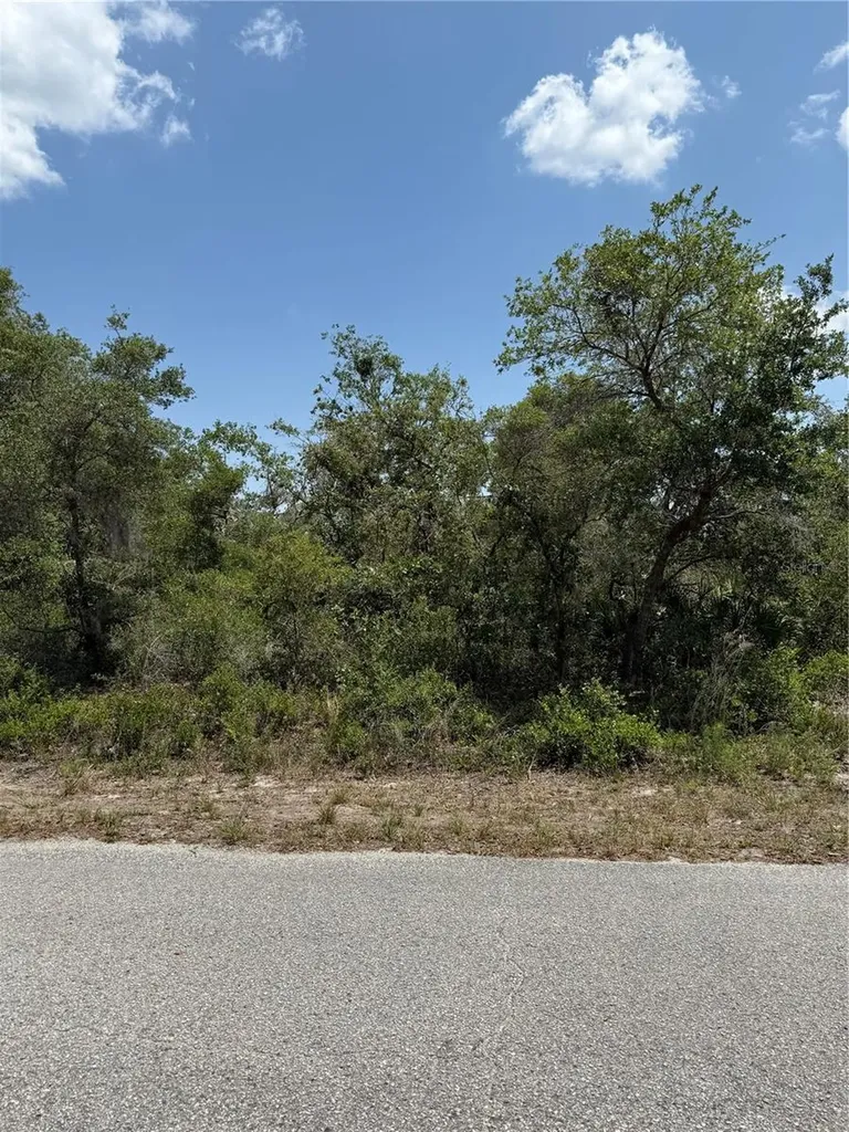 Tbd Fisher Loop Ocklawaha FL 32179