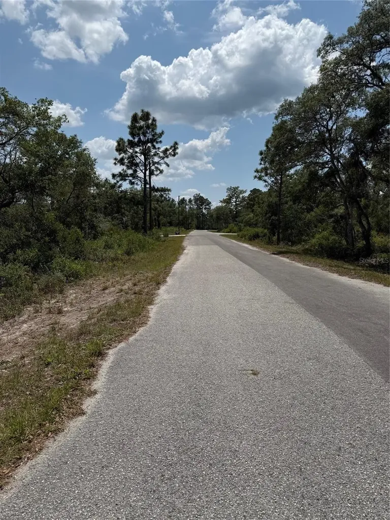 Tbd Fisher Loop Ocklawaha FL 32179