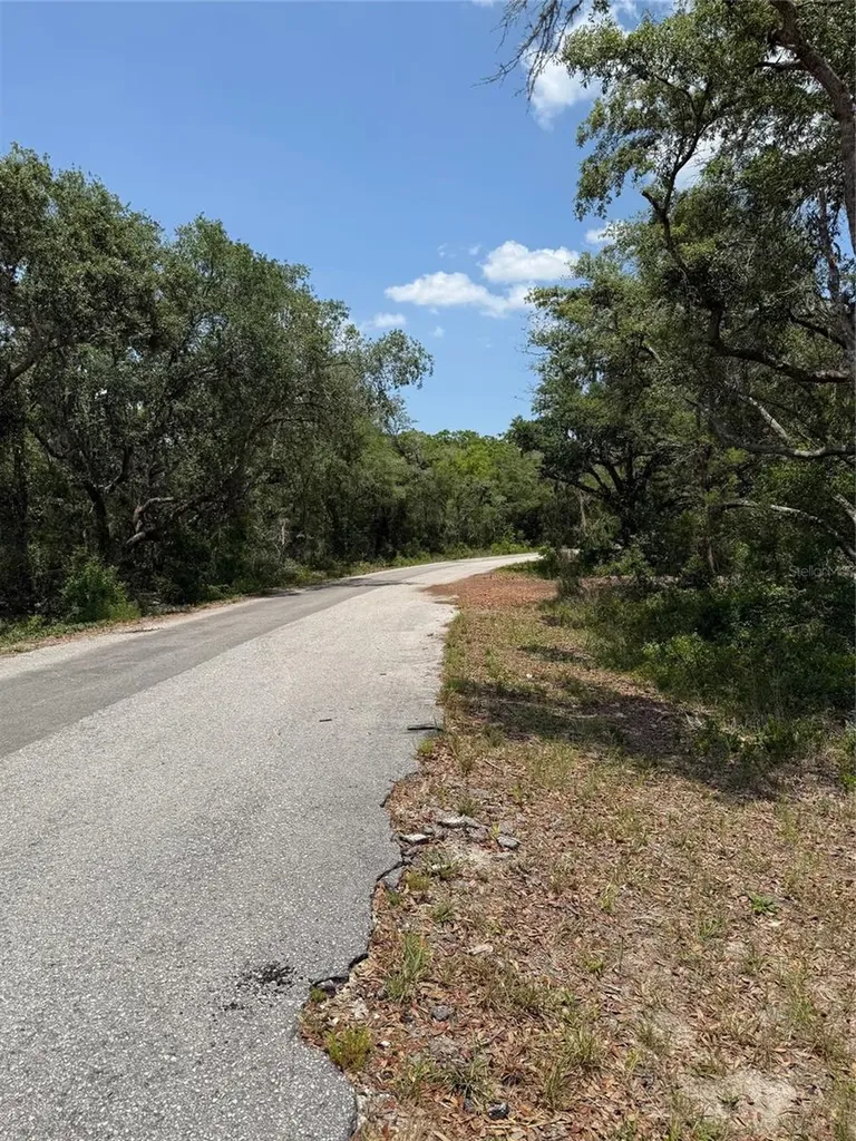 Tbd Fisher Loop Ocklawaha FL 32179