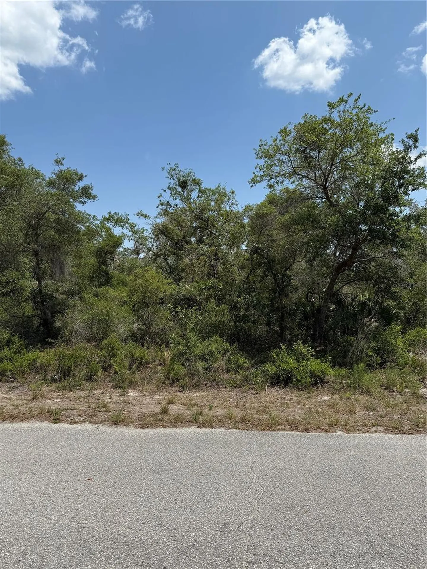 Tbd Fisher Loop Ocklawaha FL 32179