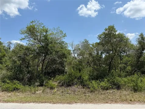 Tbd Fisher Loop Ocklawaha FL 32179