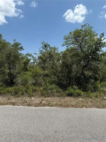 Tbd Fisher Loop Ocklawaha FL 32179