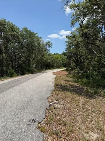 Tbd Fisher Loop Ocklawaha FL 32179