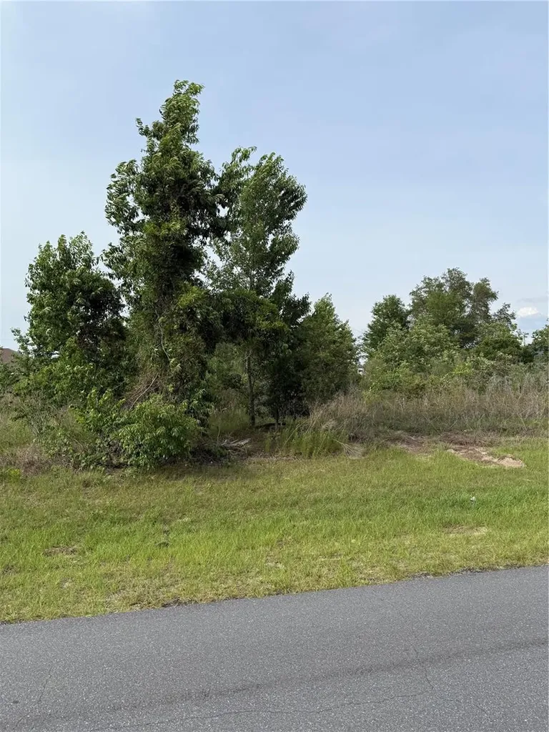 Tbd SW 129th Lane Ocala FL 34473