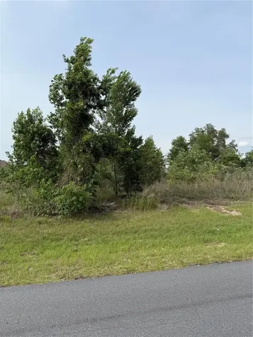Tbd SW 129th Lane Ocala FL 34473