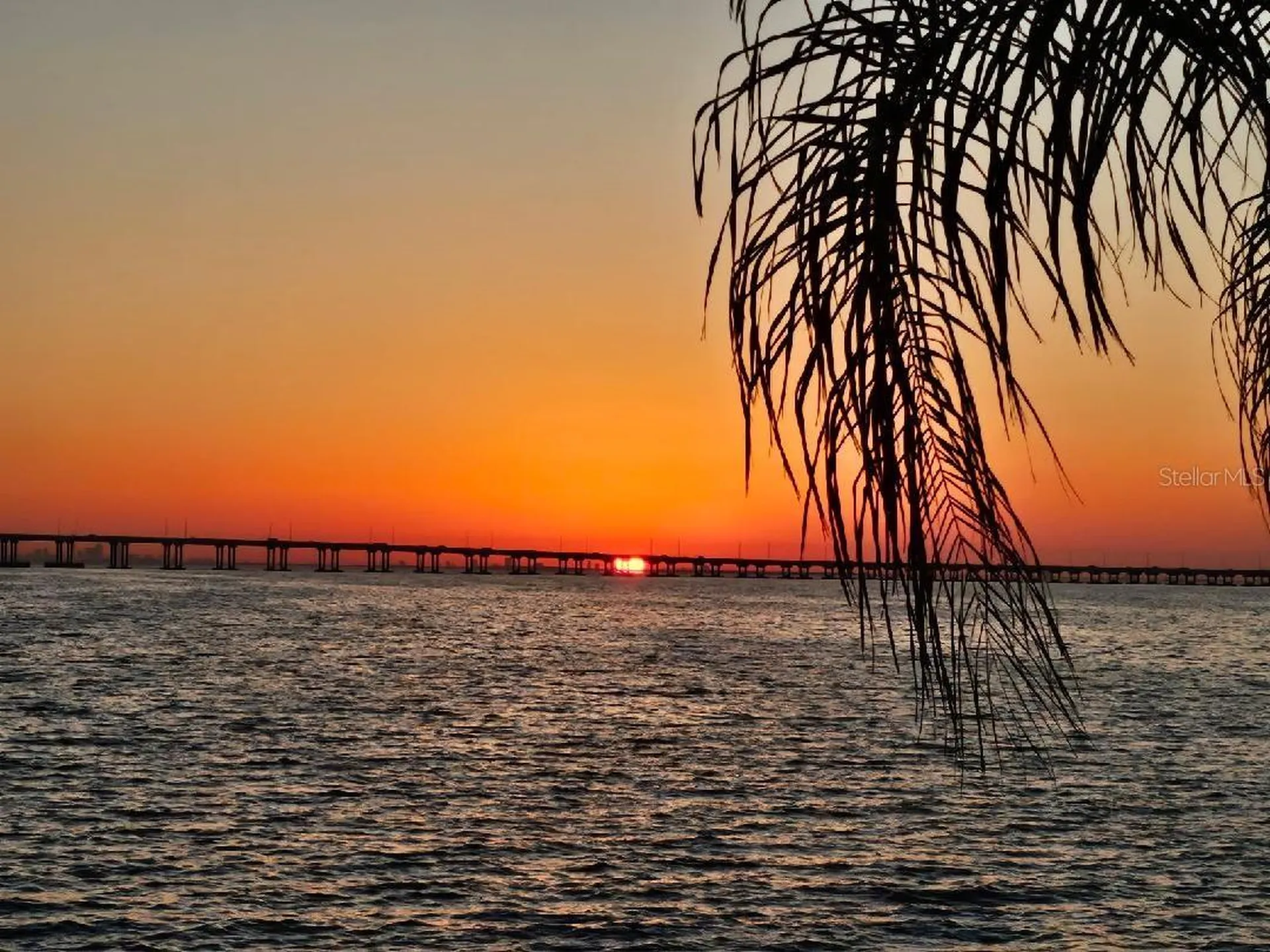 19029 Us Highway 19 N Clearwater FL 33764