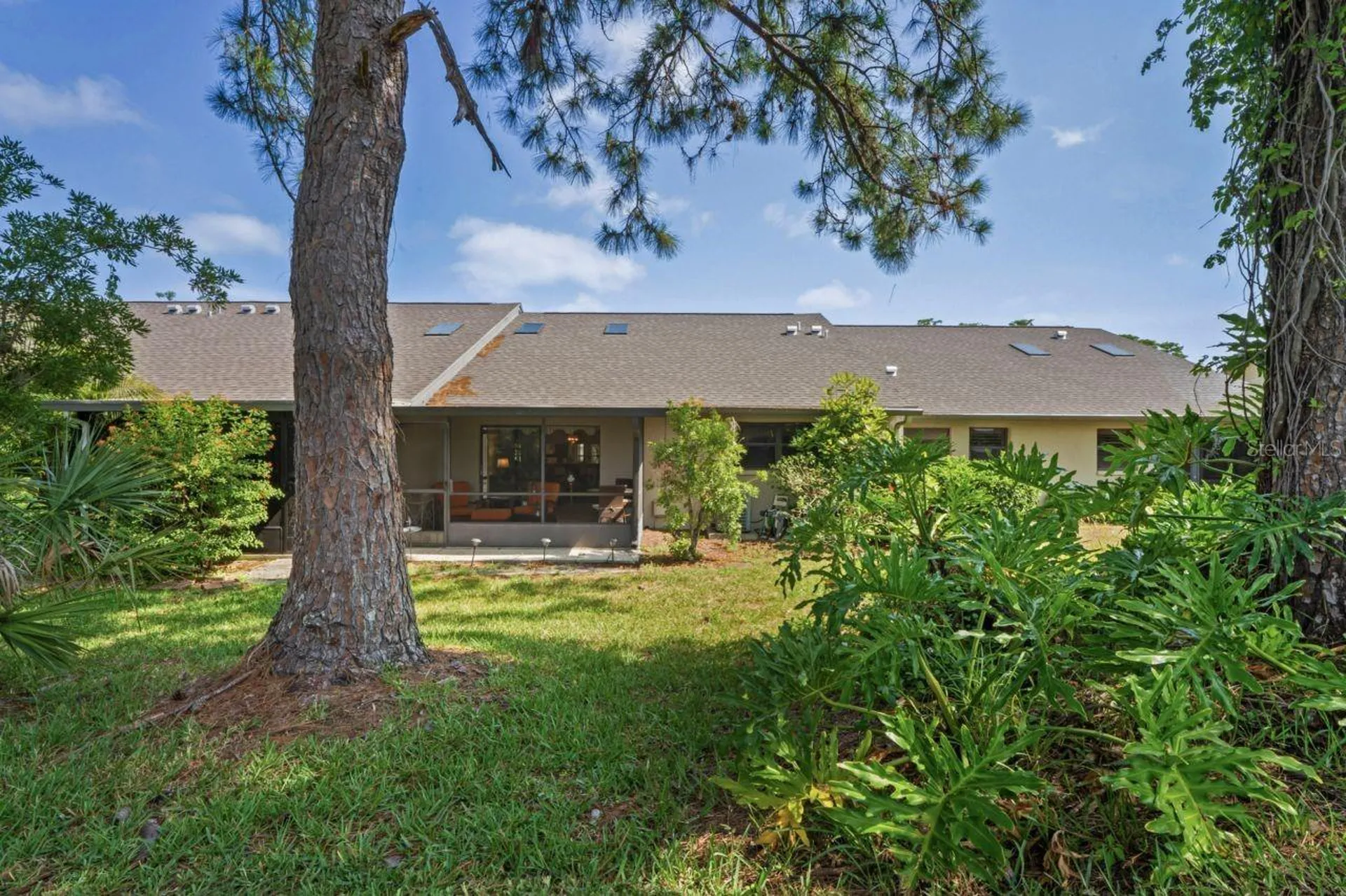 3274 Lori Lane New Port Richey FL 34655