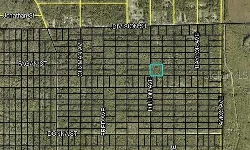 000 Dillon Avenue Hastings FL 32145