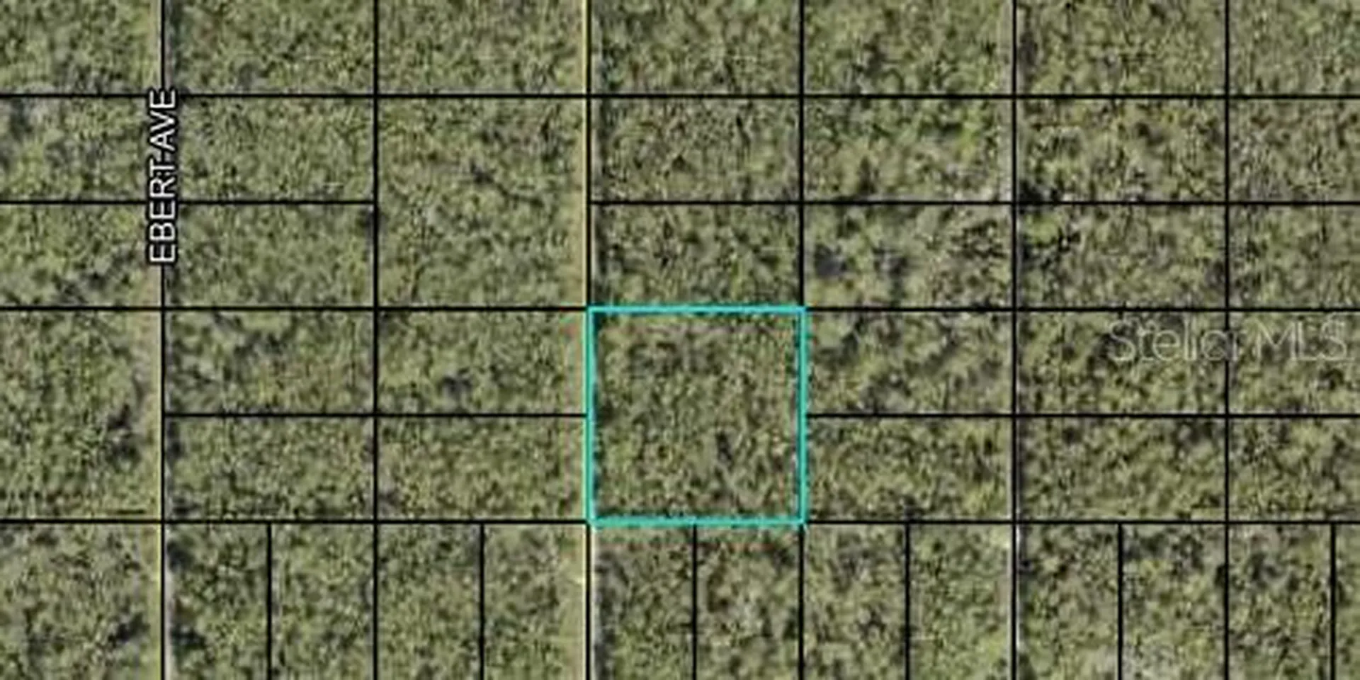 000 Dillon Avenue Hastings FL 32145