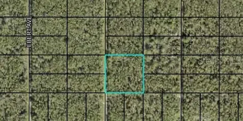 000 Dillon Avenue Hastings FL 32145