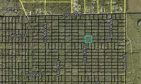 000 Dillon Avenue Hastings FL 32145