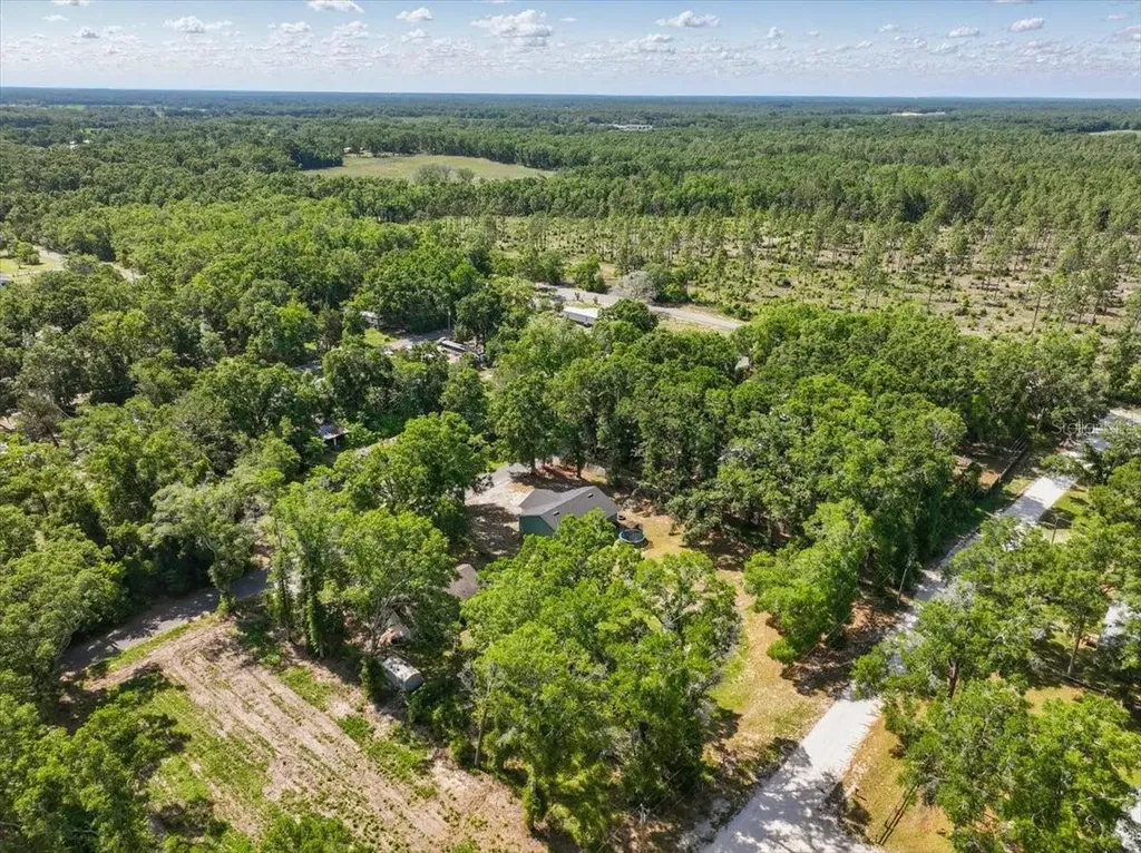 1180 Hough Street Bell FL 32619