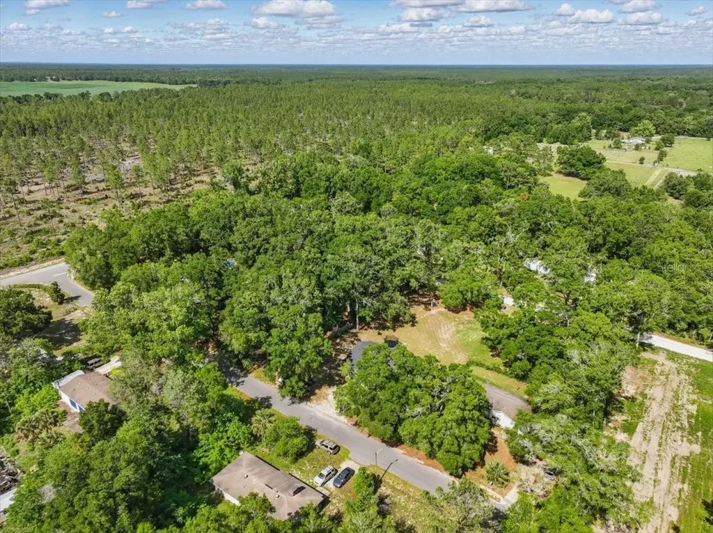 1180 Hough Street Bell FL 32619