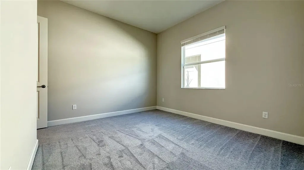 32523 Neroli Street Wesley Chapel FL 33543