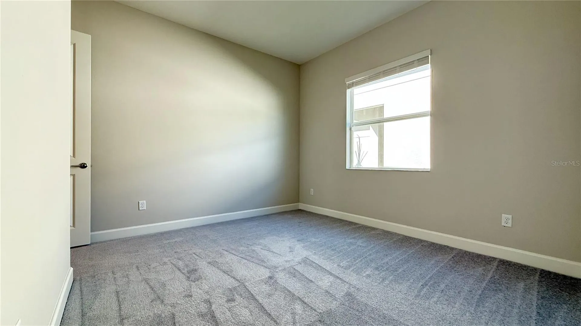 32523 Neroli Street Wesley Chapel FL 33543