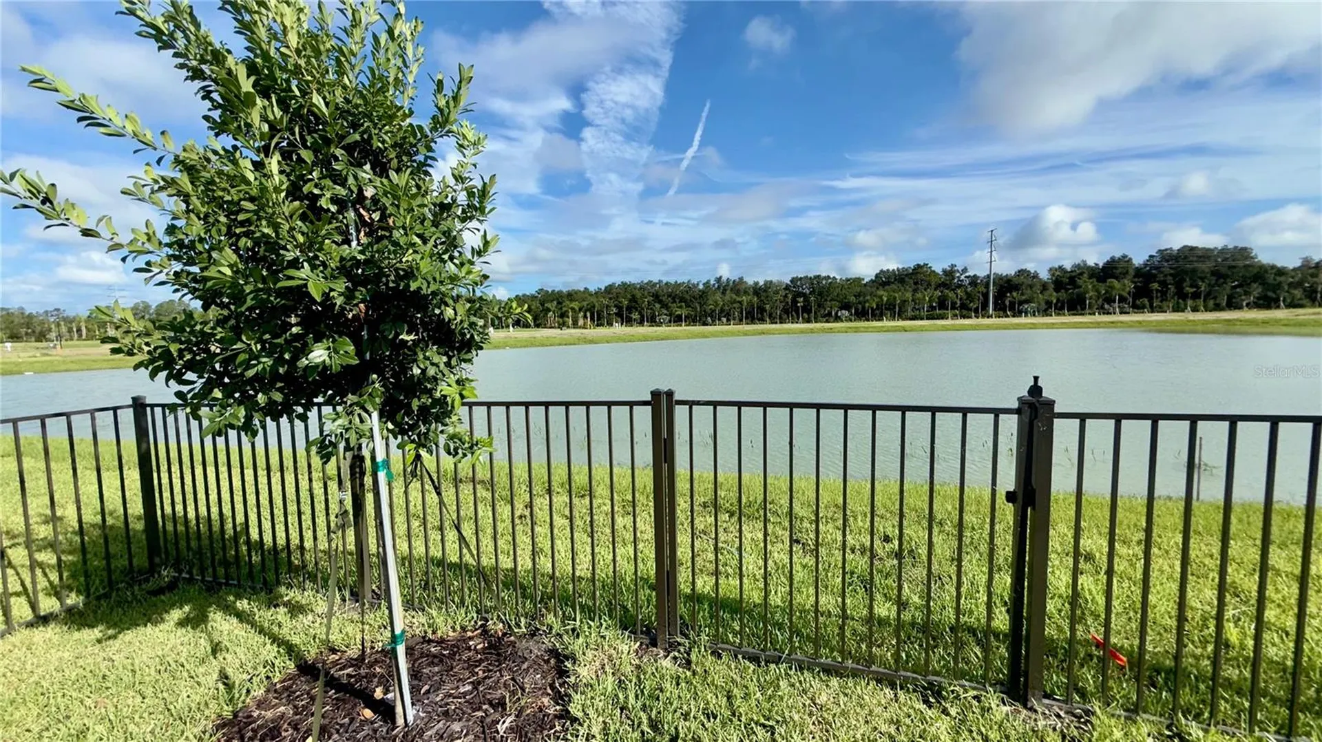 32523 Neroli Street Wesley Chapel FL 33543