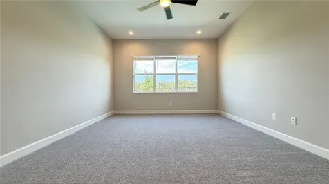 32523 Neroli Street Wesley Chapel FL 33543