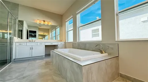 32523 Neroli Street Wesley Chapel FL 33543
