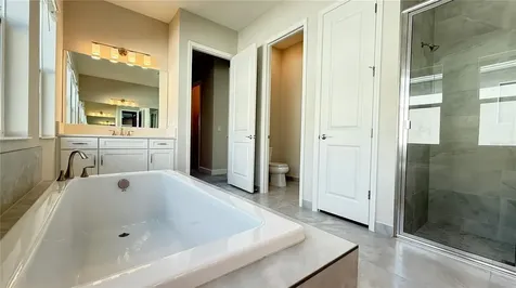 32523 Neroli Street Wesley Chapel FL 33543