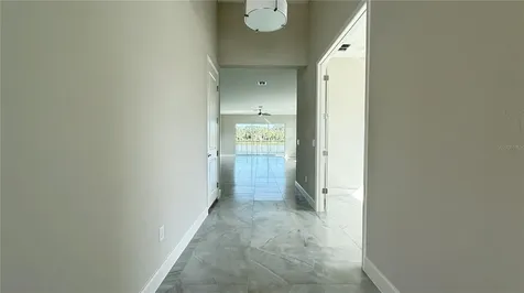 32523 Neroli Street Wesley Chapel FL 33543