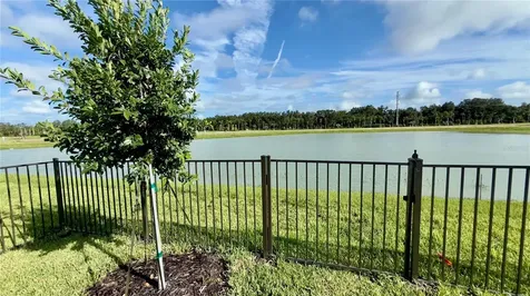 32523 Neroli Street Wesley Chapel FL 33543