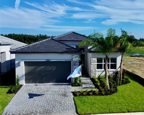 32523 Neroli Street Wesley Chapel FL 33543