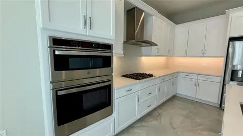 32523 Neroli Street Wesley Chapel FL 33543