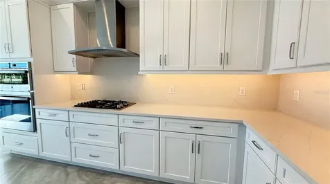 32523 Neroli Street Wesley Chapel FL 33543