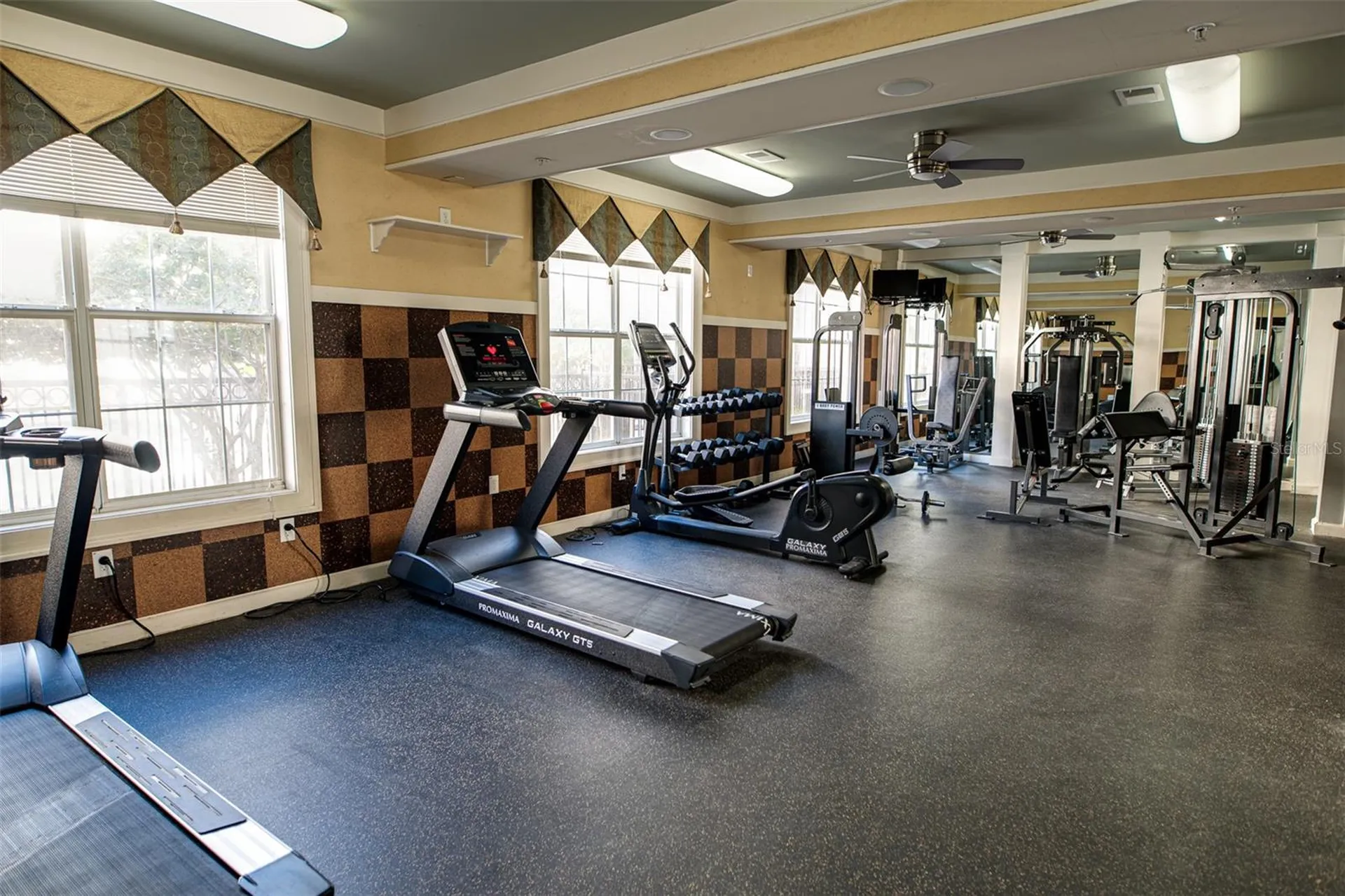 4221 W Spruce Street Tampa FL 33607