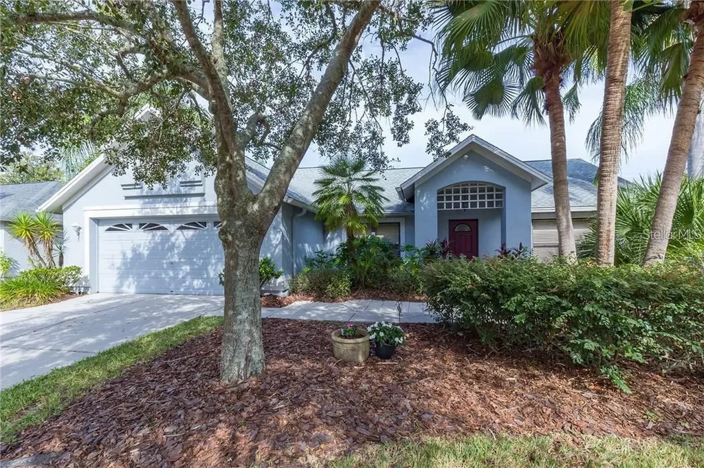 9220 Dayflower Drive Tampa FL 33647