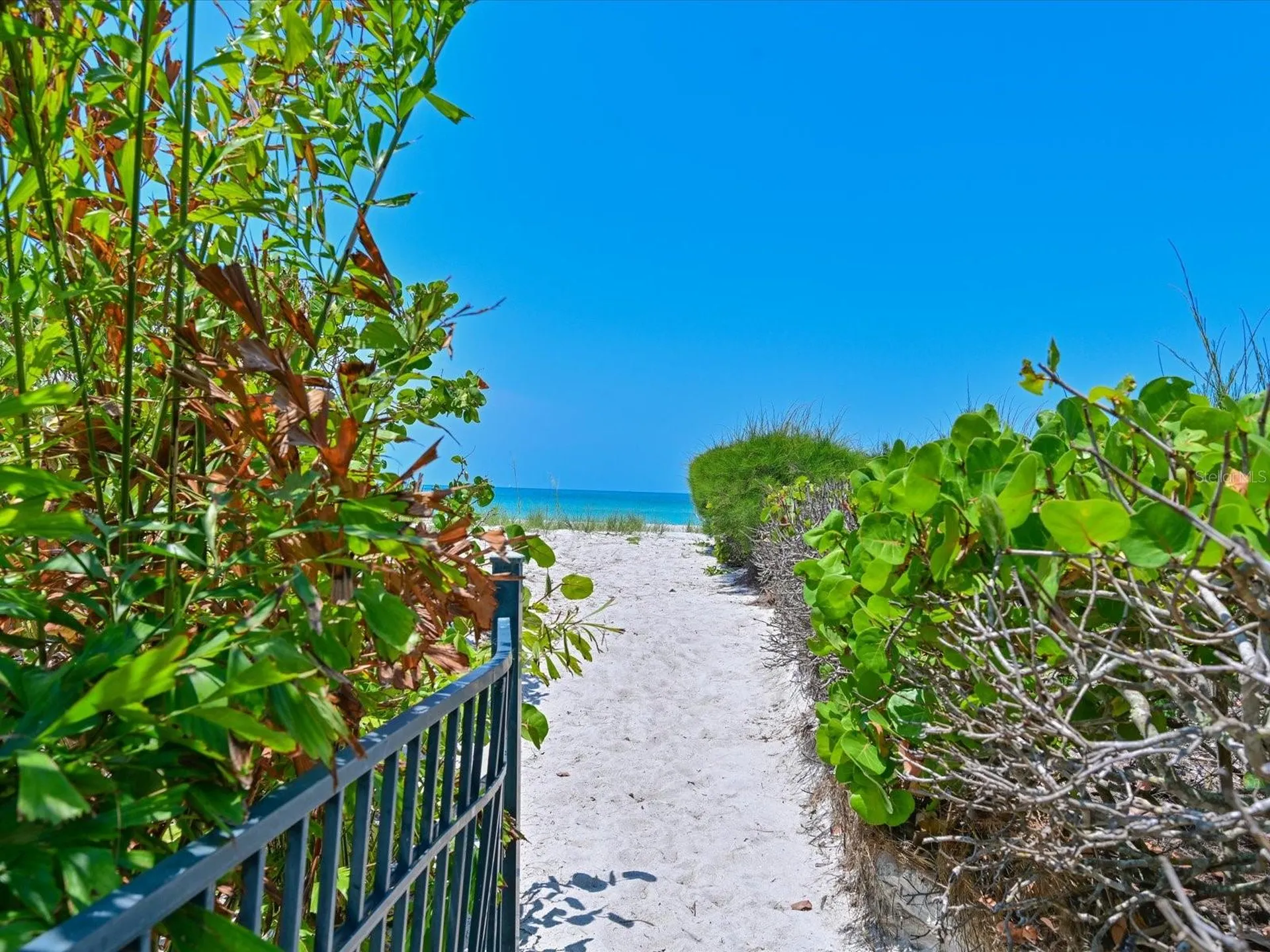 5920 Gulf Of Mexico Drive Longboat Key FL 34228